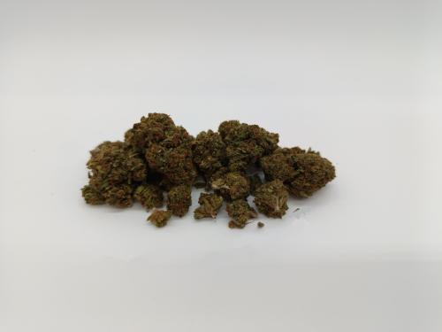 420 Spezial 420 Spezial